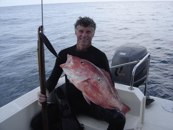 Freedive Red Snapper Copy