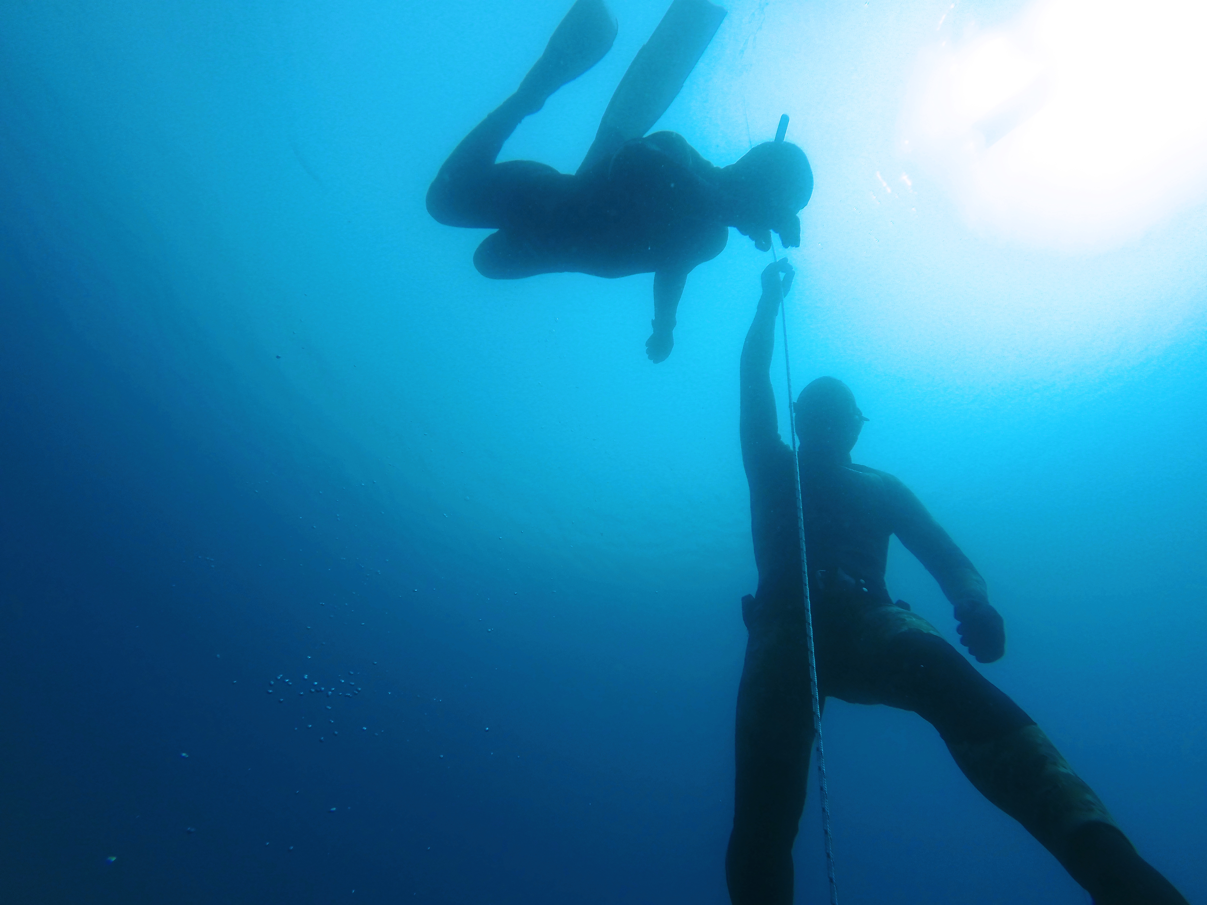 http://freediving.ie