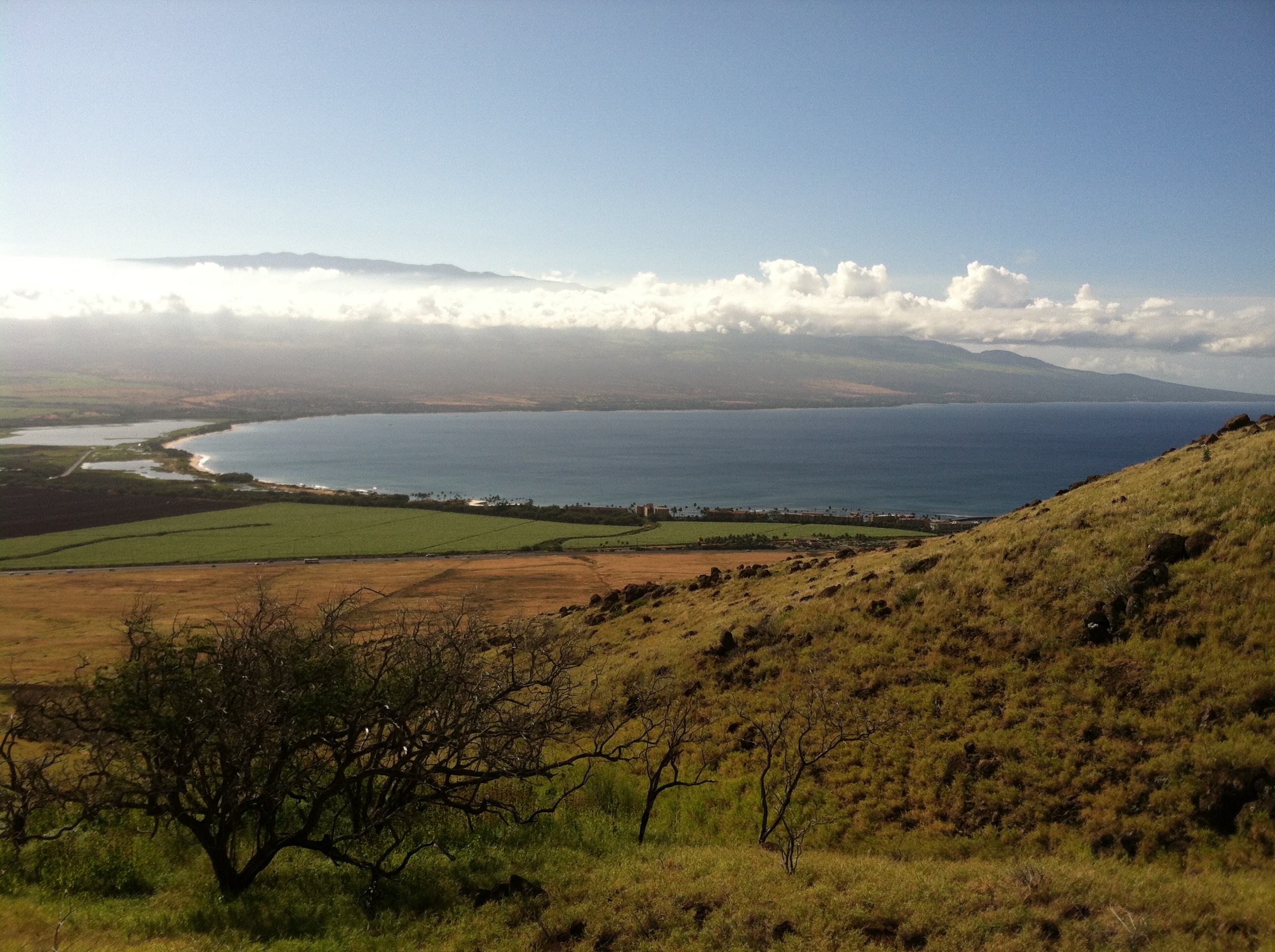 Ma'alaea Bay