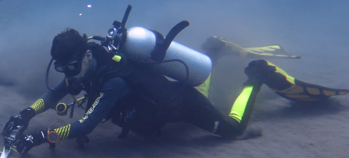 Scuba diving in Saba