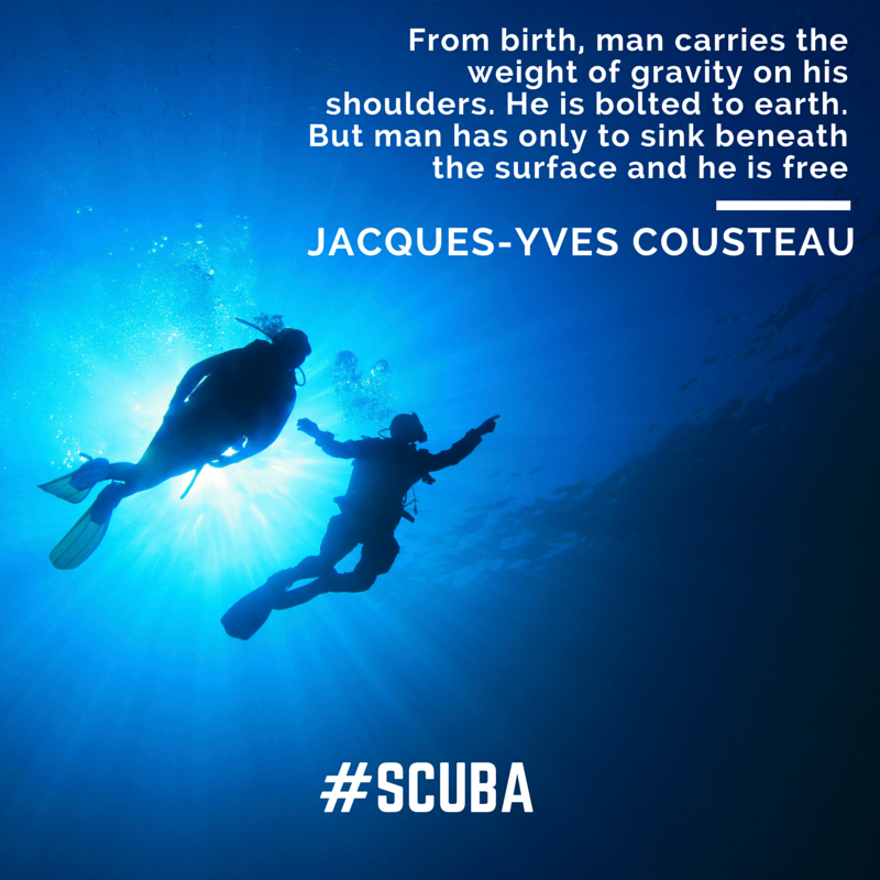 #SCUBA - sink beneath the surface and be free