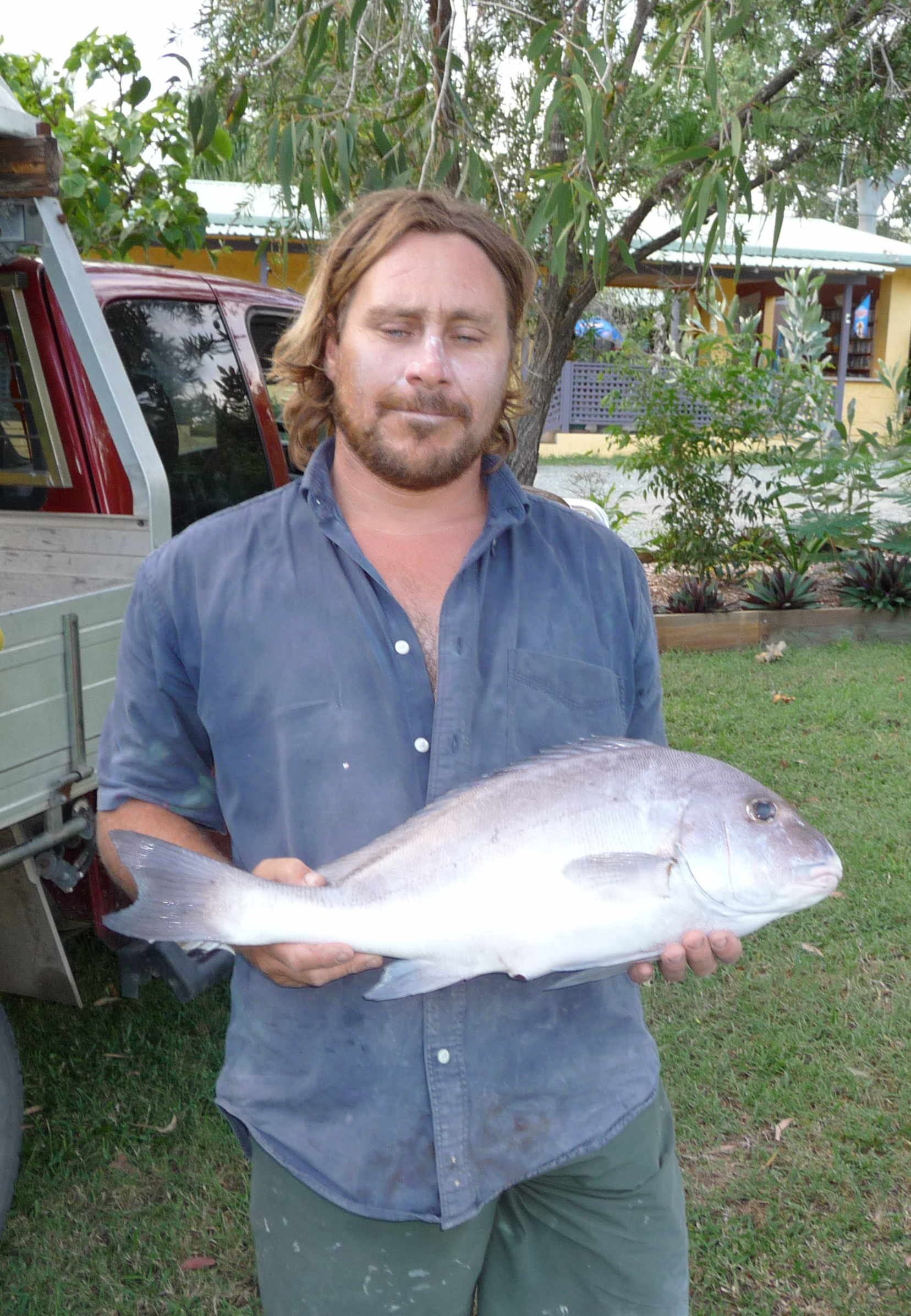 Slate Bream 2012