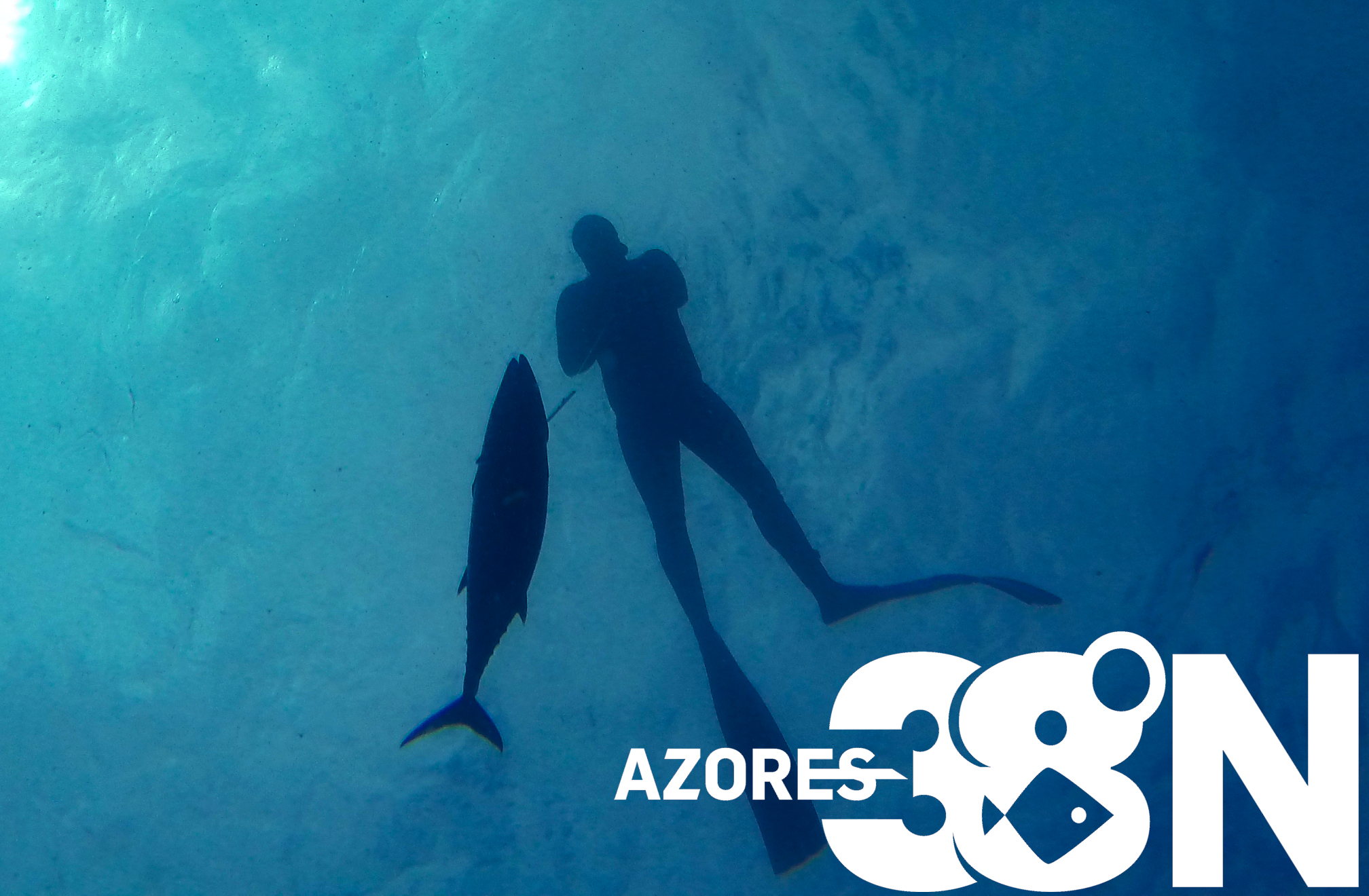 www.azores38n.com