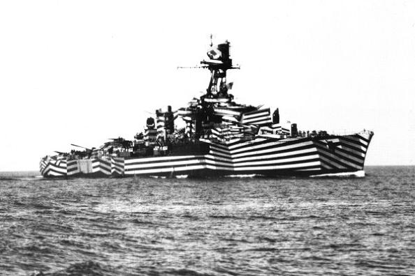 zebra-striped-camouflage.jpg