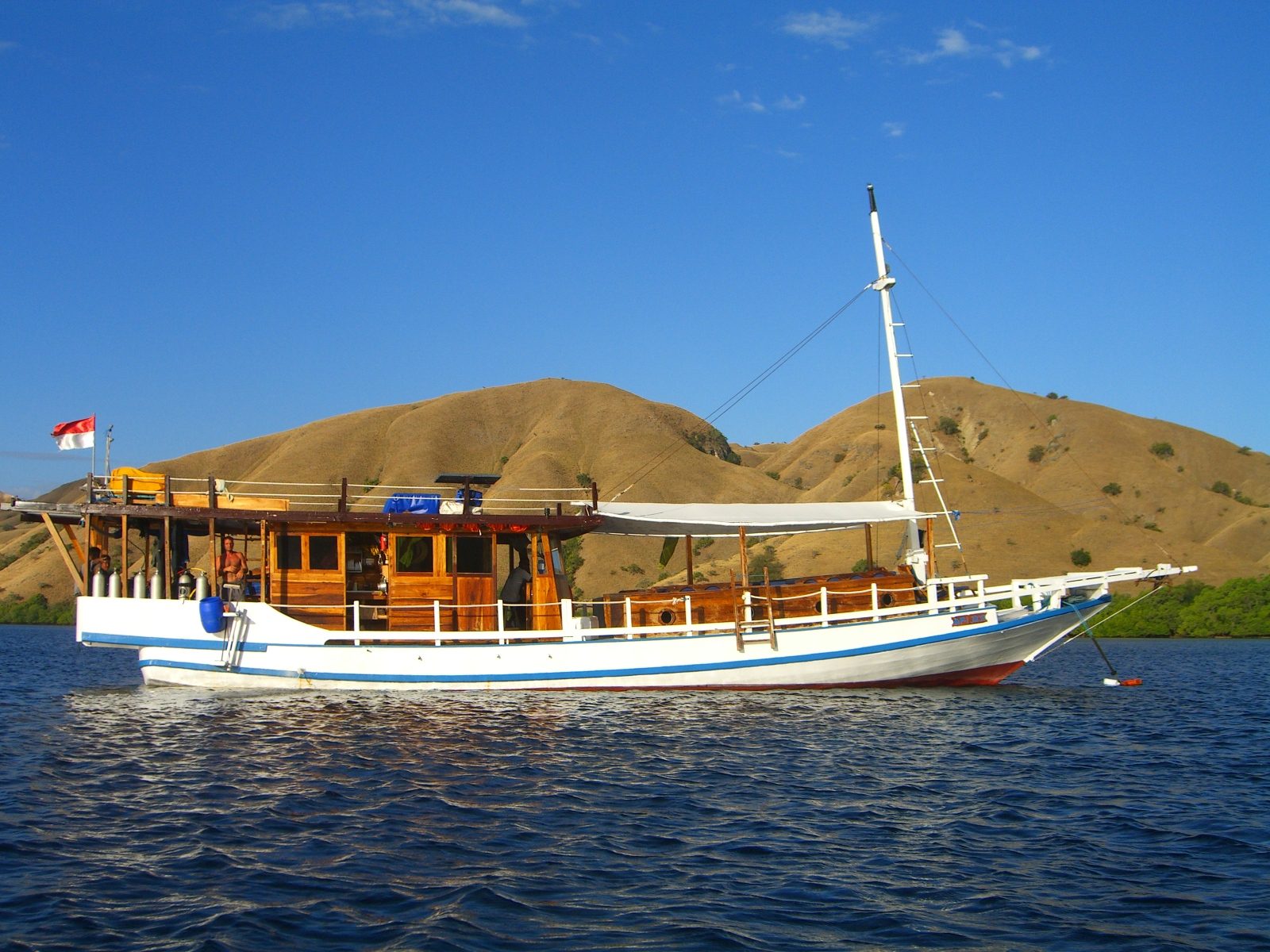 Komodo-Ari-Jaya-1.jpg