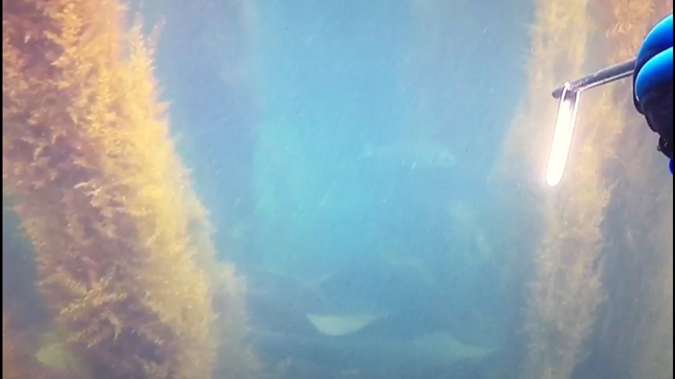 365c9f2f0428767768854df1e5a80c68.png