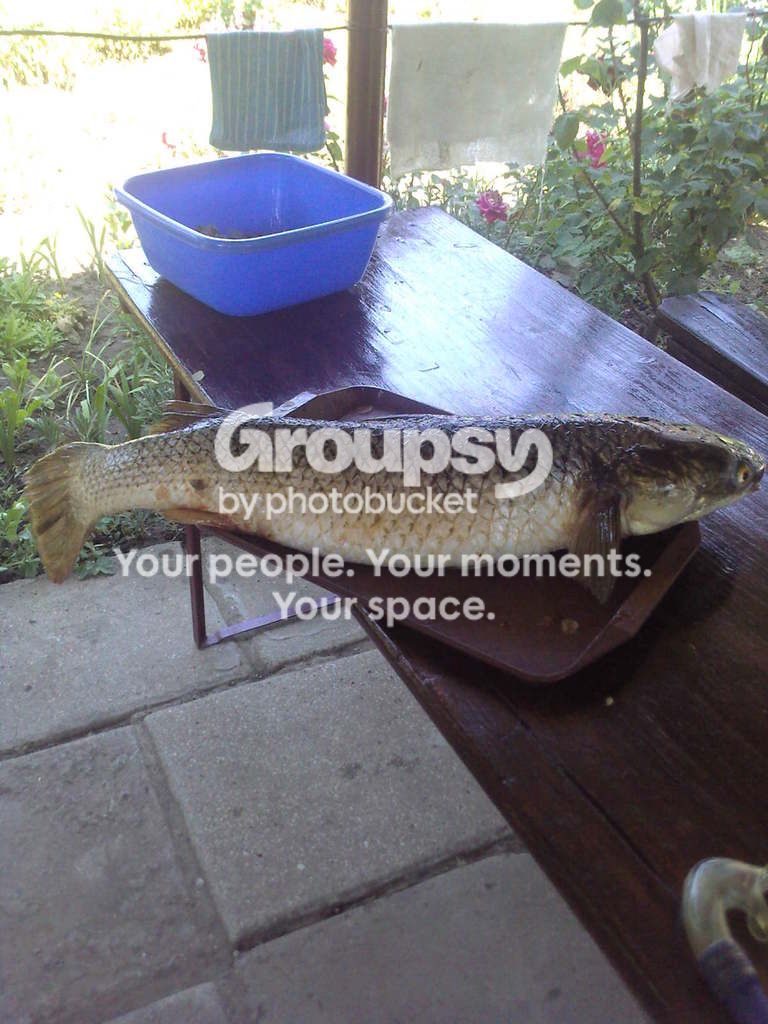 fotografii0498_zps302b281e.jpg