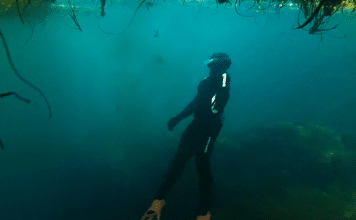 A_Canada_NS_Freediving-356x220.png