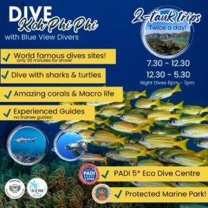 Dive-Koh-Phi-Phi-300x300.jpg