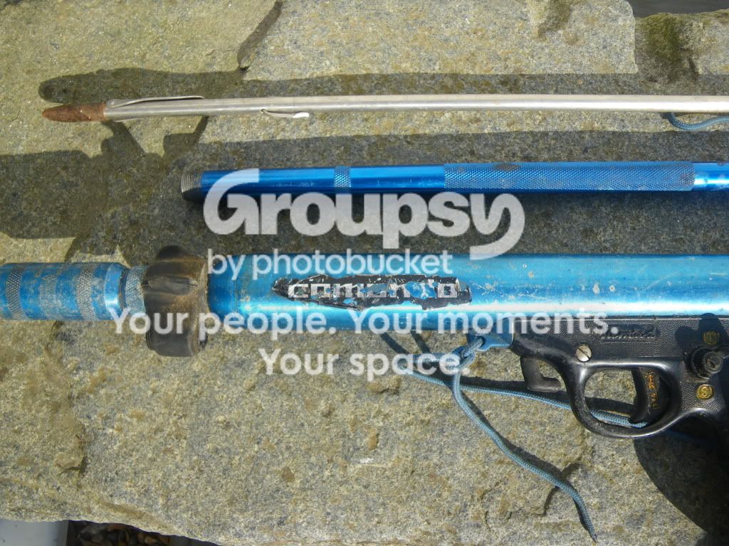 IMGP0076.jpg