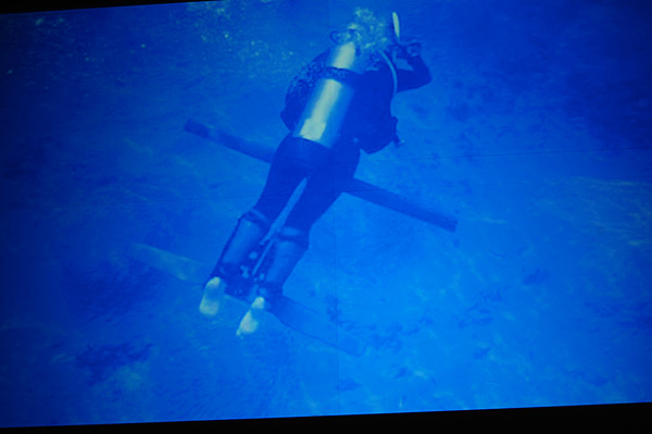 070808_DIS_powerswimEX.jpg
