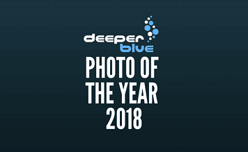 DeeperBlue.com-Photo-Of-The-Year-2018-356x220.png