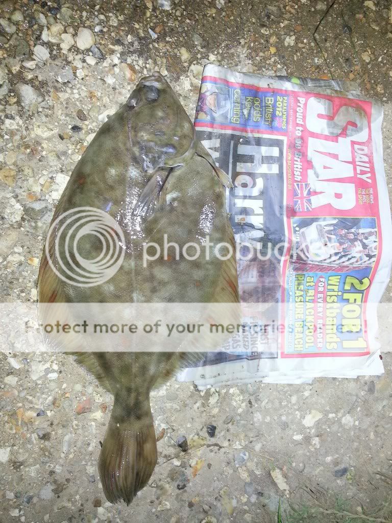 flounder1lb9.jpg