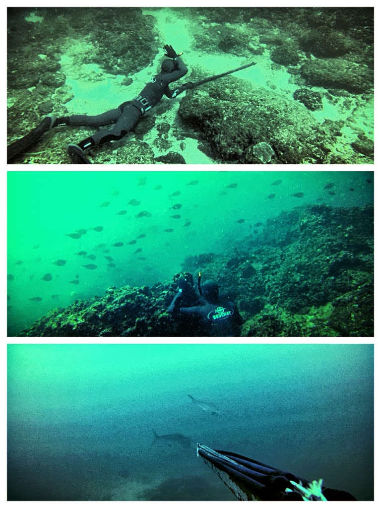 Diving.jpg