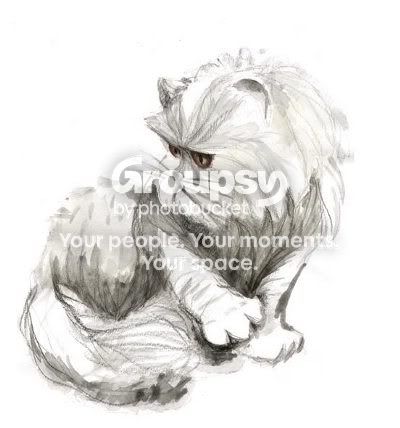 pussy_1_mica.jpg