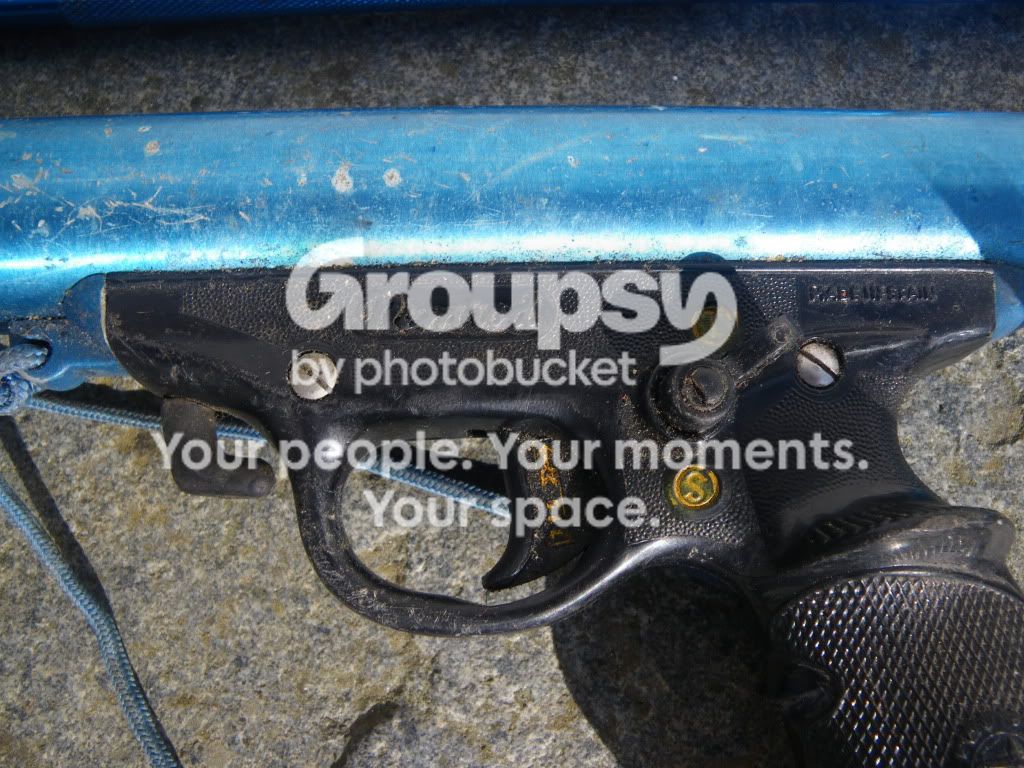 IMGP0077.jpg