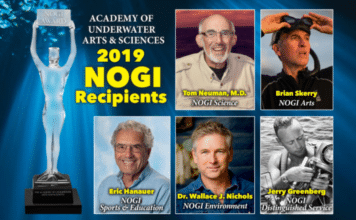 A_2019_NOGI_Awardees_TOP-356x220.png