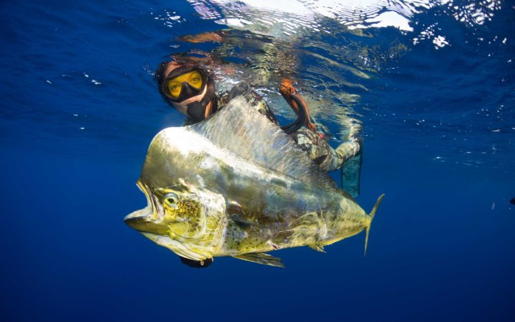 extremebluewaterspearfishing.com