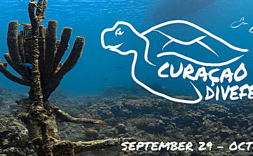 A_Curacao_DiveFestival-356x220.png