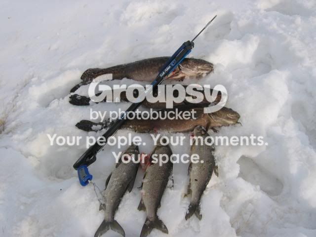IMG_5149_640x480.jpg