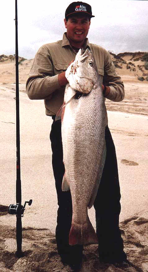 mulloway.jpg