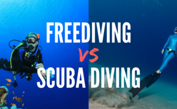 Freediving-vs-Scuba-Diving-356x220.png