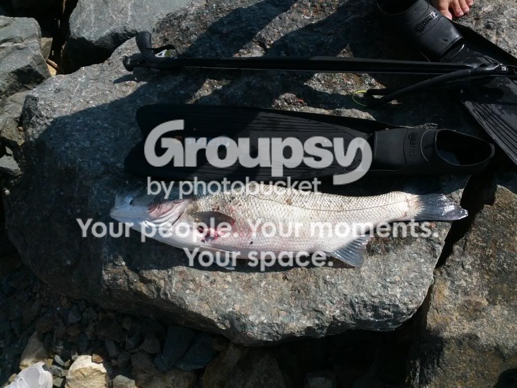 IMG_20121007_105954_zps8c1820df.jpg