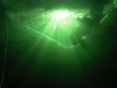 102358005_b8a96f4d4c_m.jpg