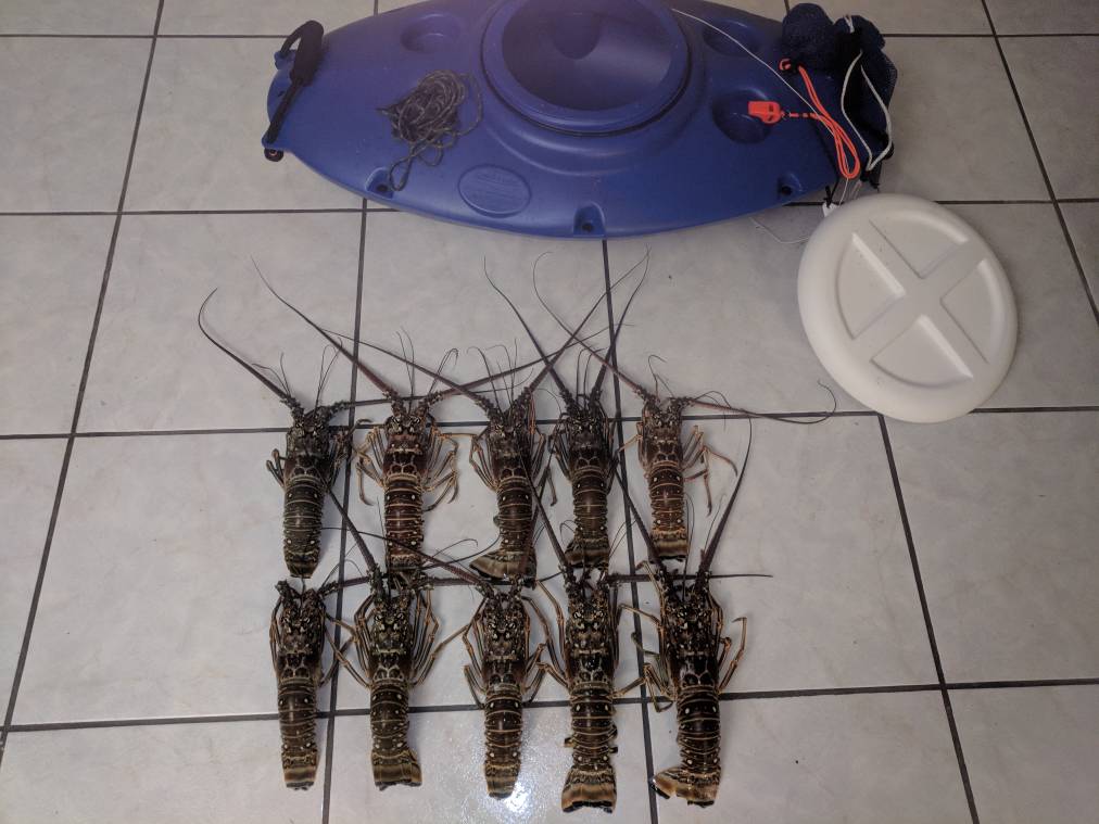 75a4a8c013f718d7f5e476235b521630.jpg