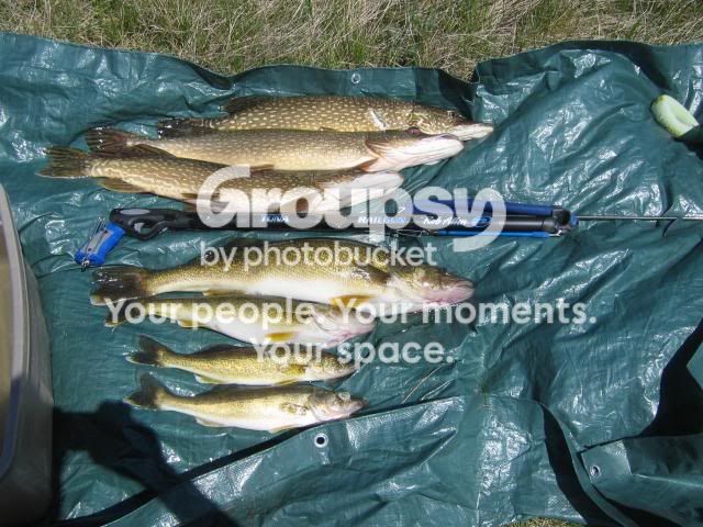 IMG_5248_640x480.jpg