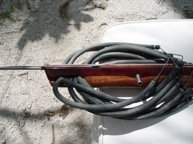 mygun110.jpg