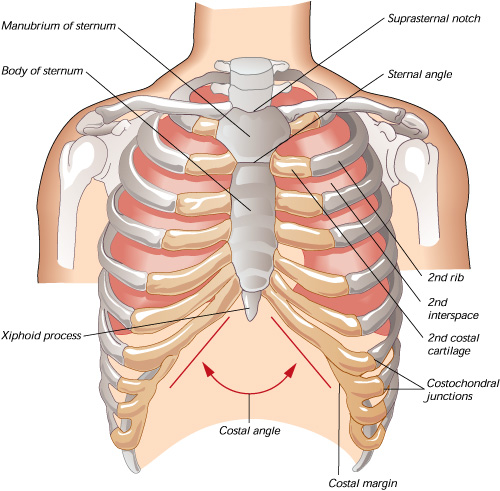 ch08-p245.jpg