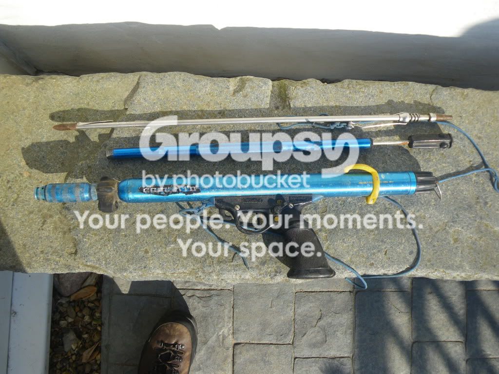 IMGP0075.jpg