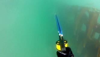video-spearfishing-trapped-underwater-fighting-a-65lb-white-seabass-ndash-deeperblue-com-332x190.jpg