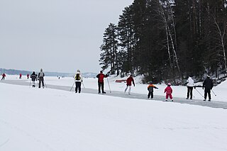 320px-Skiing_and_ice_skating_on_Lake_Tuusulanjärvi_I3790_C.JPG