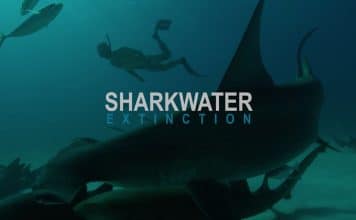 Rob Stewart’s Final Film, ‘Sharkwater Extinction,’ Scheduled For Release In October 2018