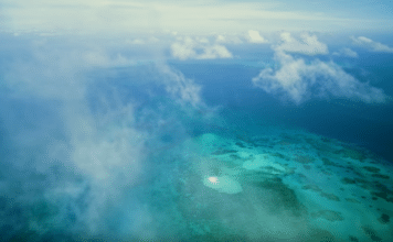 Great-Barrier-Reef-in-IMAX-356x220.png