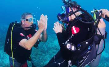 A_Diveheart_Cozumel_TOP-356x220.png