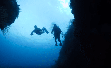 The-Last-Man-Diving-freediving-episode-356x220.png