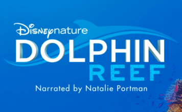 Disneynature's 'Dolphin Reef' Movie To Debut On Disney+