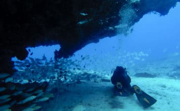 Divers near a wall, fuerteventura , Canary Islands
