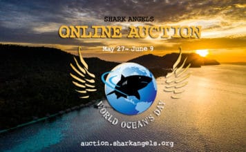 Shark Angels Launches Third World Oceans Day Auction