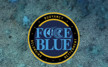 FORCE-BLUE-and-Sea-Of-Change-Initiative-356x220.png