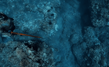Kimi Werner Teaches Gordon Ramsay How To Spearfish