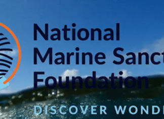 National Marine Sanctuary Foundation Launches New Brand