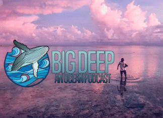 Big Deep Podcast