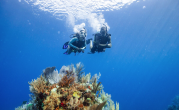 PADI Offering Black Friday, Cyber Monday Deals