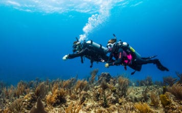 Buy A PADI eLearning Gift Pass, Help Clean The Ocean