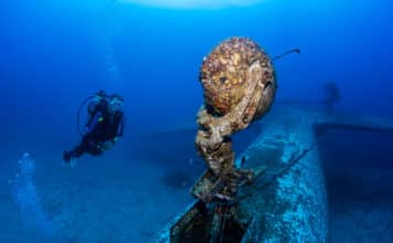 Scuba Diver explores the growth-encrusted landing gear of an underwater aircraft wreck