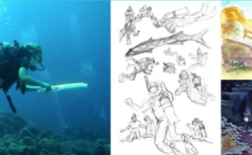 Aquasketch To Sponsor Cozumel Dive And Draw Experience